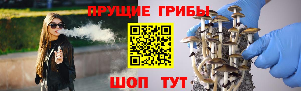 Йошкар-Ола  Галлюциногенные грибы Psilocybine cubensis  Галлюциногенные грибы мицелий  Вход с VPN 